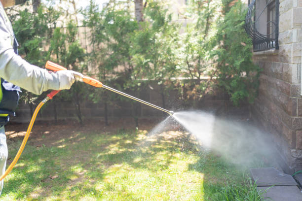 Best Termite Control Services  in Peoria, AZ